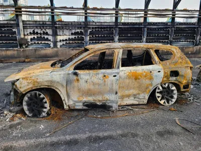 2021 Hyundai Santa FE KMHS581LHMU361273 VIN:KMHS581LHMU361273