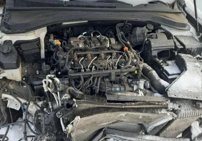 2019 Hyundai Santa FE KMHS381CBKU028156 VIN:KMHS381CBKU028156