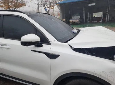 2023 Kia Sorento KNARJ81GBPA204006 VIN:KNARJ81GBPA204006
