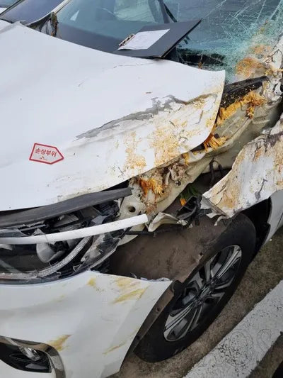 2019 Kia Carnival KNAMB81ABKS472953 VIN:KNAMB81ABKS472953