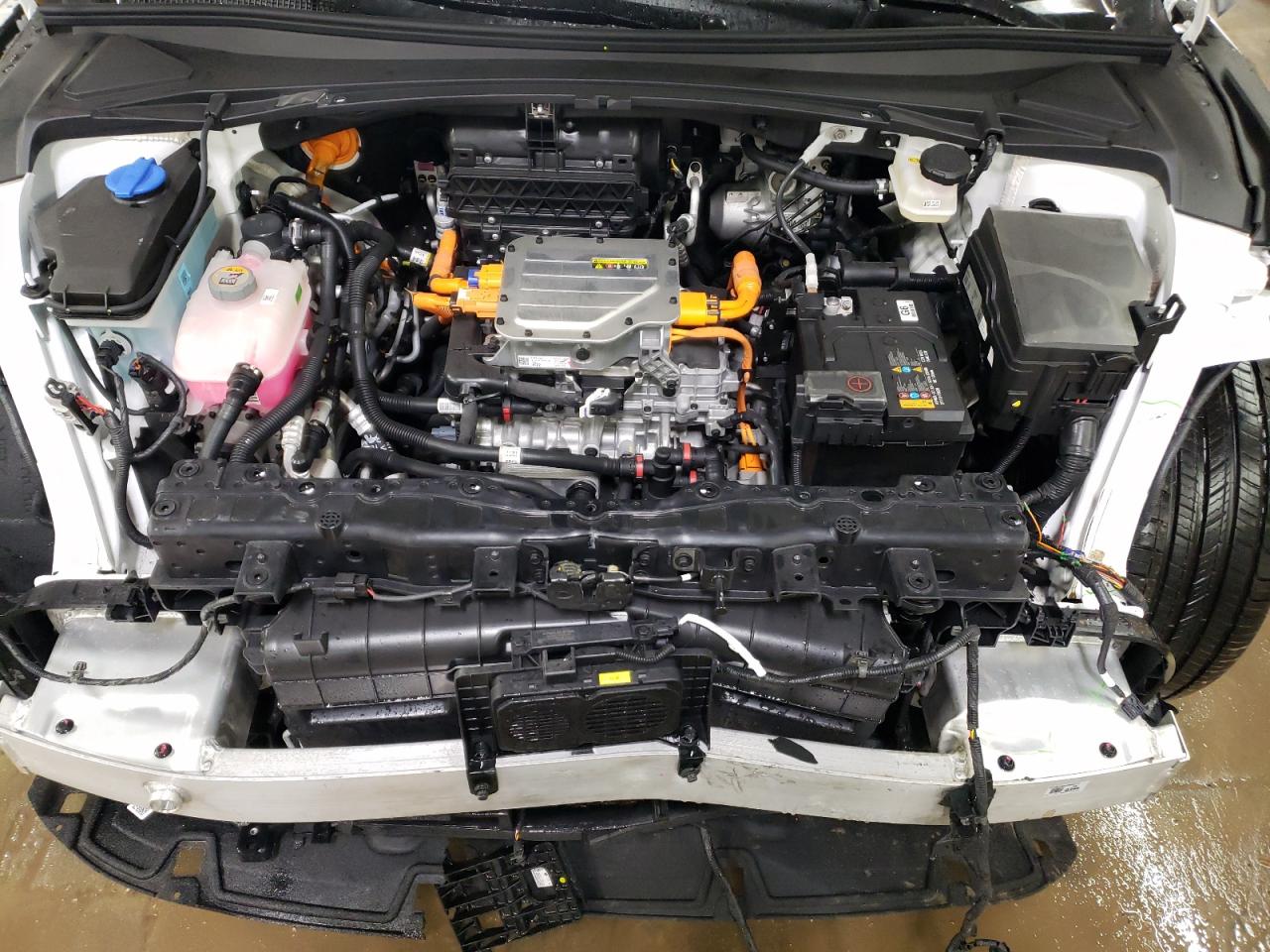 2024 GENESIS GV60 ADVANCED VIN:KMUKCDSC0RU020119