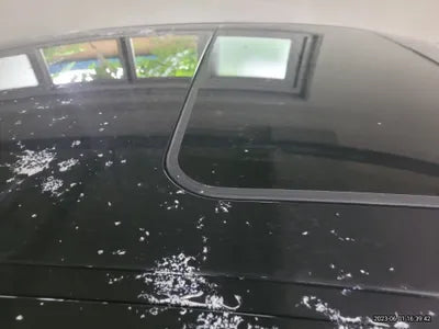 2014 Maserati Quattroporte VIN: