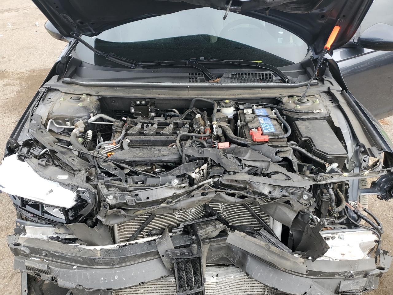 2023 HONDA ACCORD LX VIN:1HGCY1F29PA017633