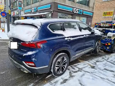 2019 Hyundai Santa FE KMHS381CDKU156880 VIN:KMHS381CDKU156880
