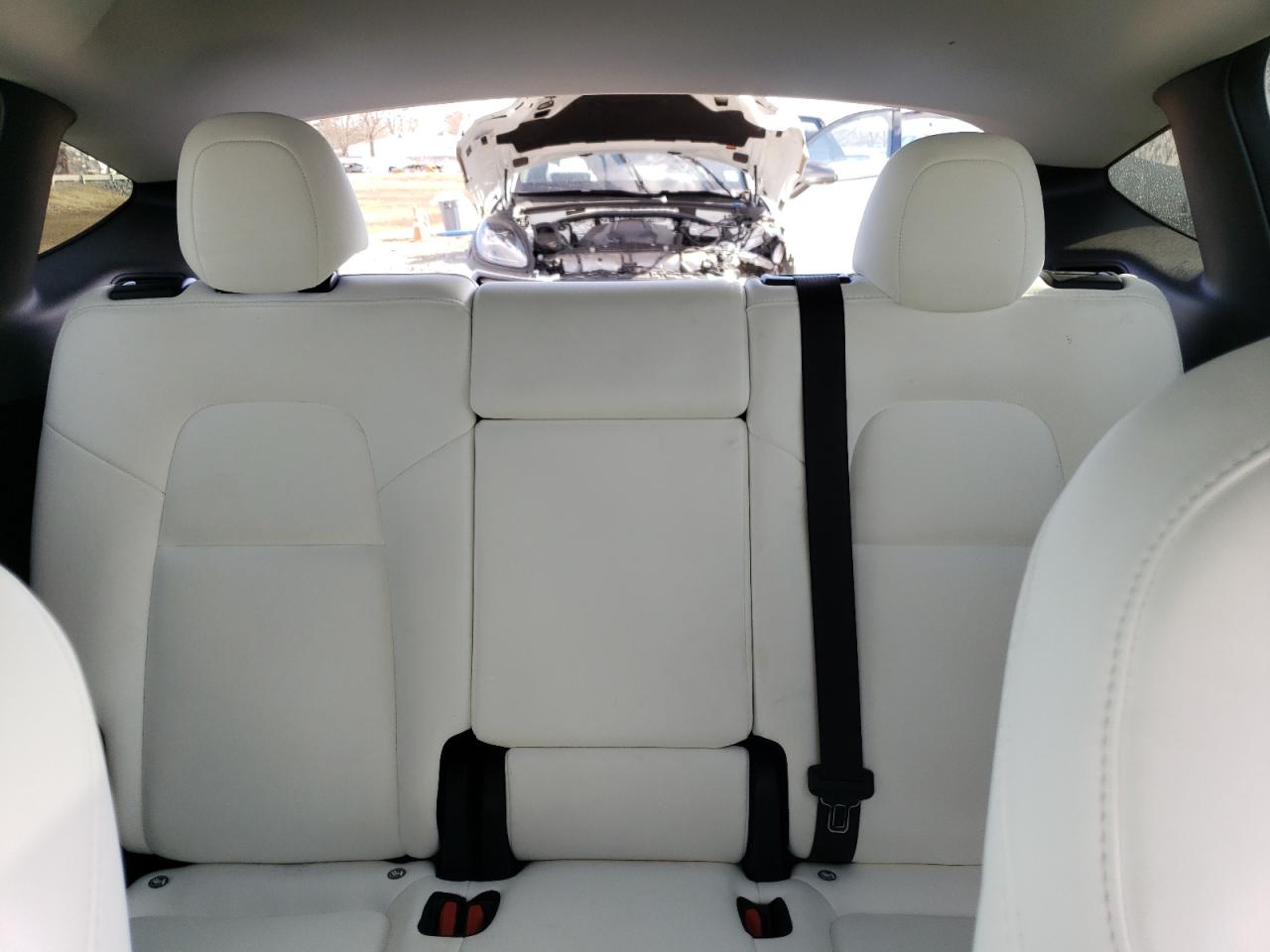 2024 TESLA MODEL Y  VIN:7SAYGDEDXRF042808