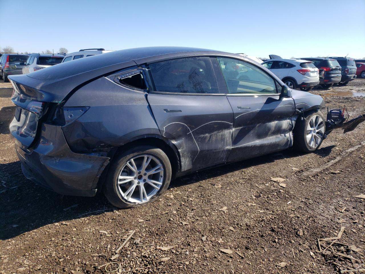 2023 TESLA MODEL Y  VIN:7SAYGDEE6PF645843