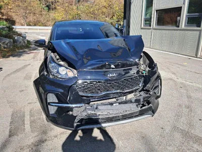 2019 Kia Sportage KNAPL812GKK737170 VIN:KNAPL812GKK737170