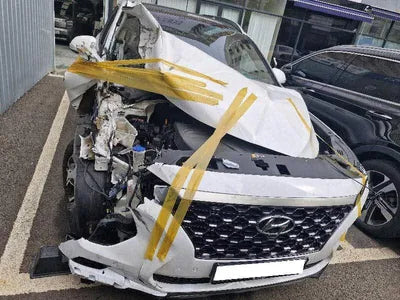 2018 Hyundai Santa FE KMHS381BBKU100140 VIN:KMHS381BBKU100140