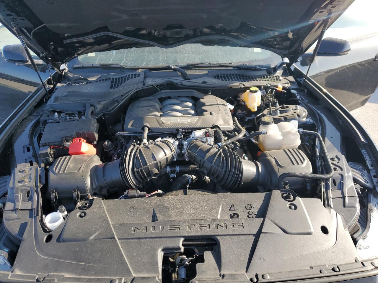 2024 FORD MUSTANG GT VIN:1FA6P8CF5R5424123