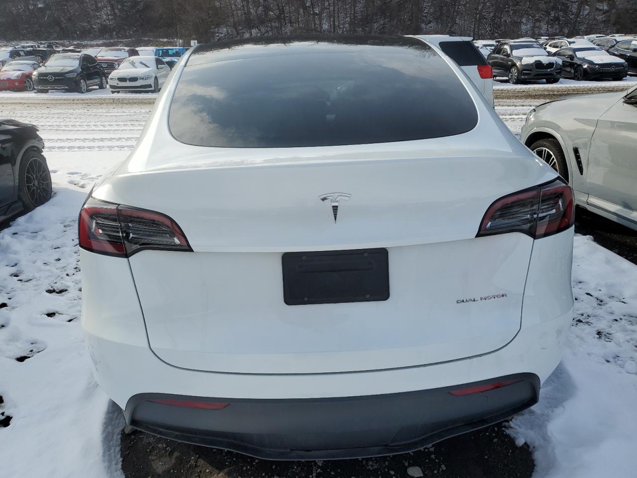 2024 TESLA MODEL Y  VIN:7SAYGDEE0RA308715