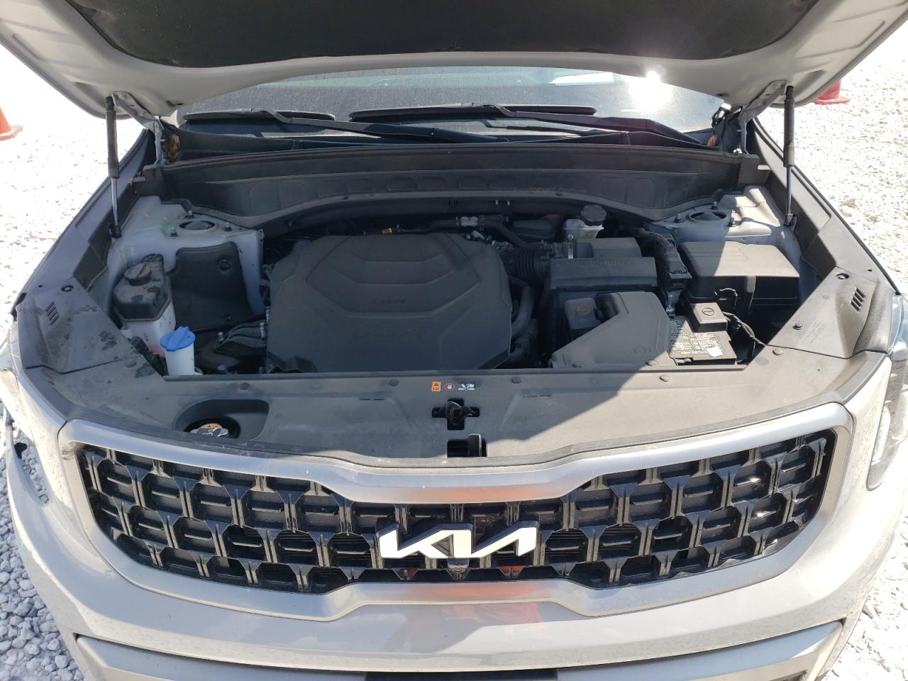 2023 KIA TELLURIDE SX VIN:5XYP5DGC5PG395952