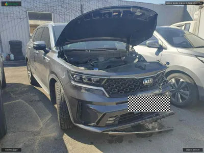2020 Kia Sorento KNARF81GDMA019140 VIN:KNARF81GDMA019140