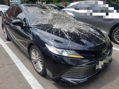 2019 Toyota Camry JTNB11HK8K3088732 VIN:JTNB11HK8K3088732