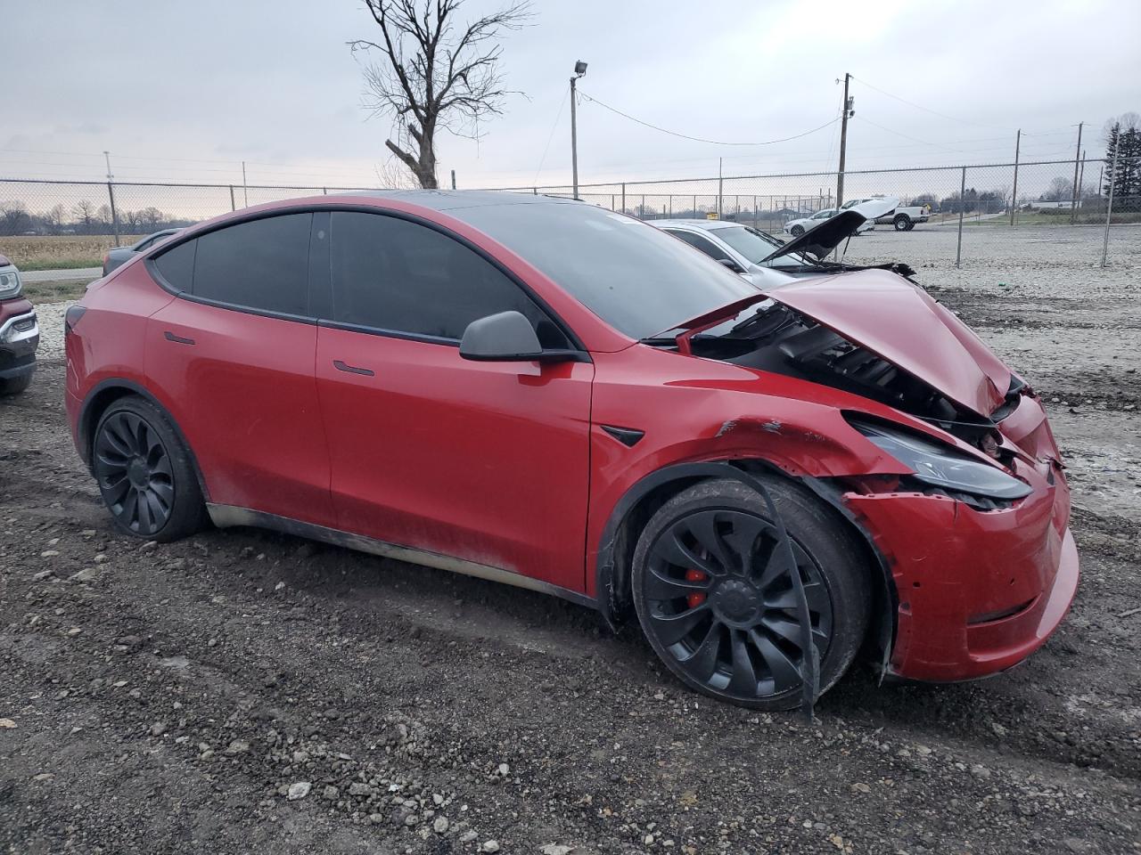 2022 TESLA MODEL Y  VIN:7SAYGDEF0NF443828
