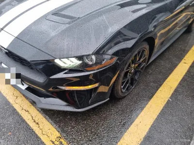 2019 Ford Mustang VIN: