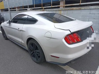 2017 Ford Mustang 1FA6P8THXH5243938 VIN:1FA6P8THXH5243938