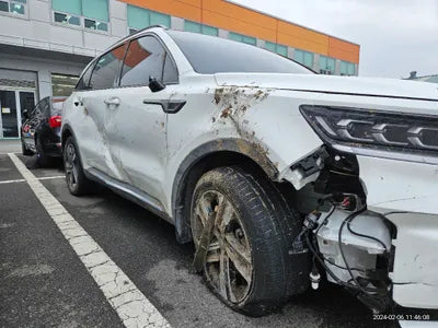 2023 Kia Sorento KNARL81GBPA135233 VIN:KNARL81GBPA135233