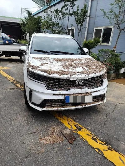 2021 Kia Sorento VIN: