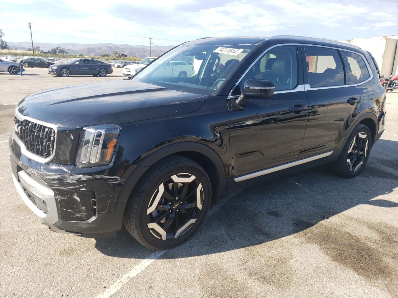 2023 KIA TELLURIDE EX VIN:5XYP3DGC0PG362993