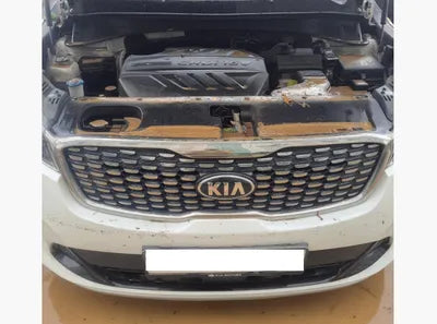 2019 Kia Sorento 187KMKNAPF81BBKA5 VIN:187KMKNAPF81BBKA5