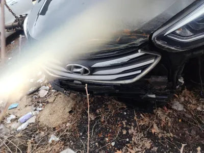 2017 Hyundai Santa FE KMHSW81UBJU827590 VIN:KMHSW81UBJU827590