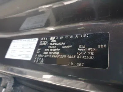 2019 Kia Sorento 187KMKNAPF81BBKA5 VIN:187KMKNAPF81BBKA5
