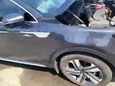 2021 Kia Sorento KNARK81GDMA019707 VIN:KNARK81GDMA019707