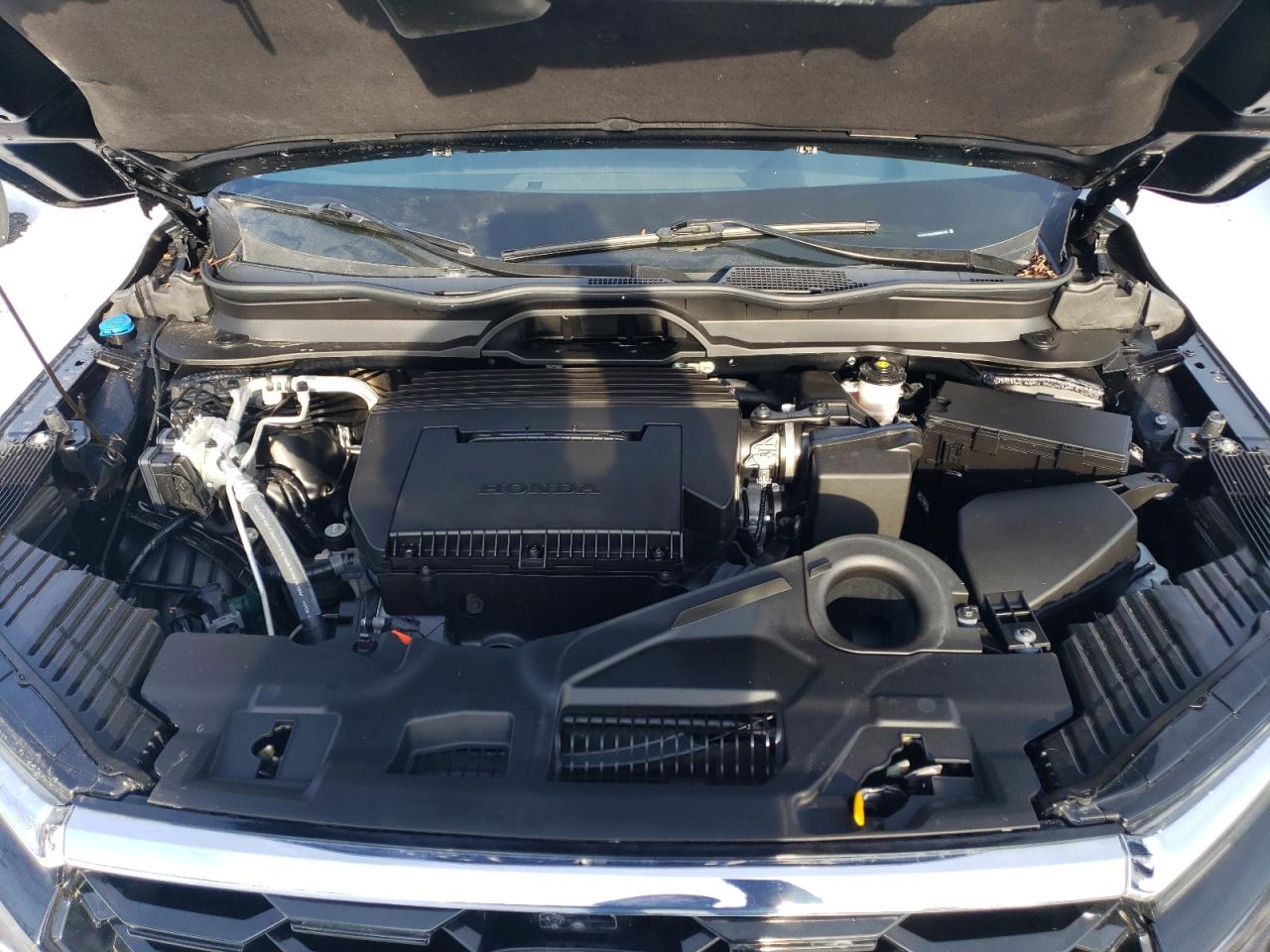 2024 HONDA PILOT ELITE VIN:5FNYG1H84RB006123