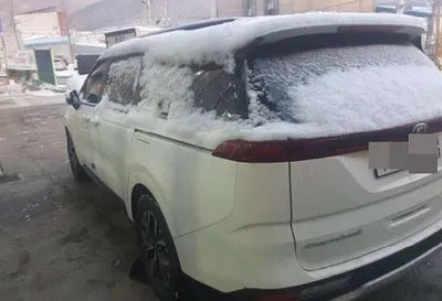 2020 Kia Carnival VIN:
