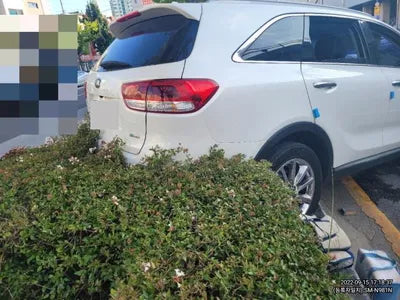 2017 Kia Sorento KNAPS81ABHA322489 VIN:KNAPS81ABHA322489