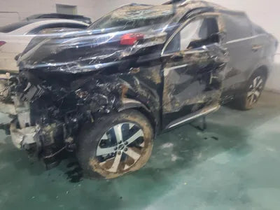 2020 Kia Sorento KNARJ81BHMA019578 VIN:KNARJ81BHMA019578