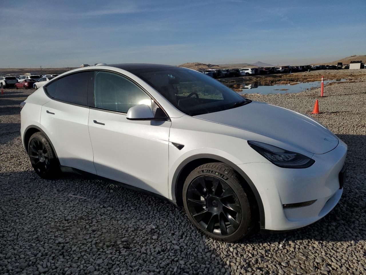 2022 TESLA MODEL Y  VIN:7SAYGDEE0NF385730