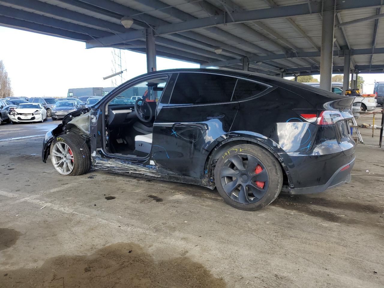 2023 TESLA MODEL Y  VIN:7SAYGDEE3PF938230