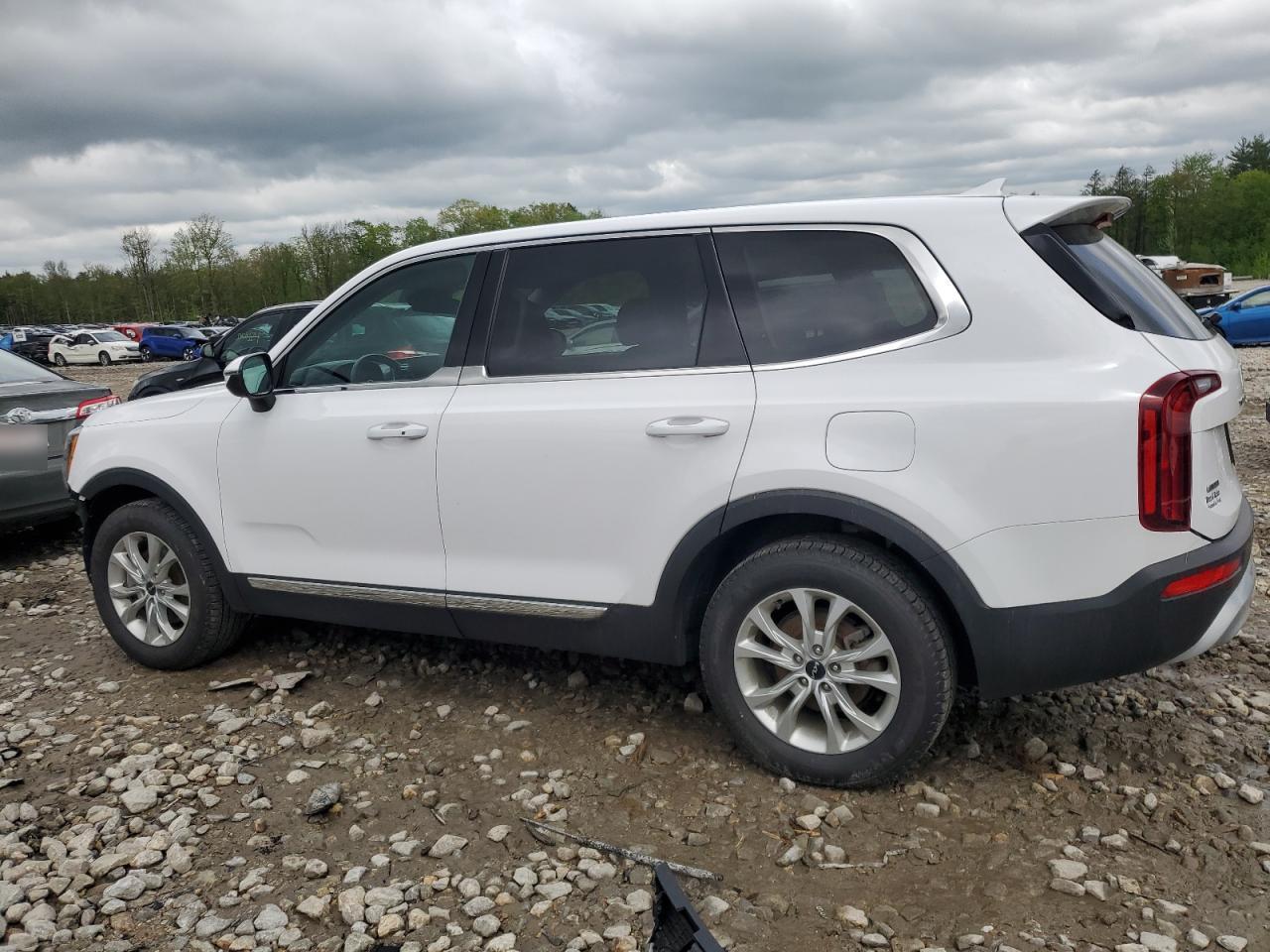 2022 KIA TELLURIDE LX VIN:5XYP2DHC1NG197986