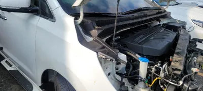 2019 Kia Carnival KNAME81ABKS503293 VIN:KNAME81ABKS503293