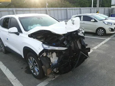2019 Hyundai Santa FE KMHS281BBKU113319 VIN:KMHS281BBKU113319