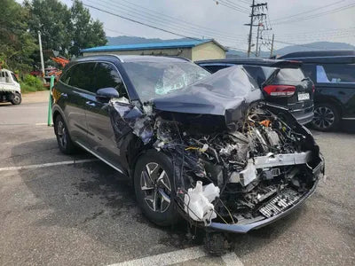 2020 Kia Sorento KNARG81GBMA017175 VIN:KNARG81GBMA017175