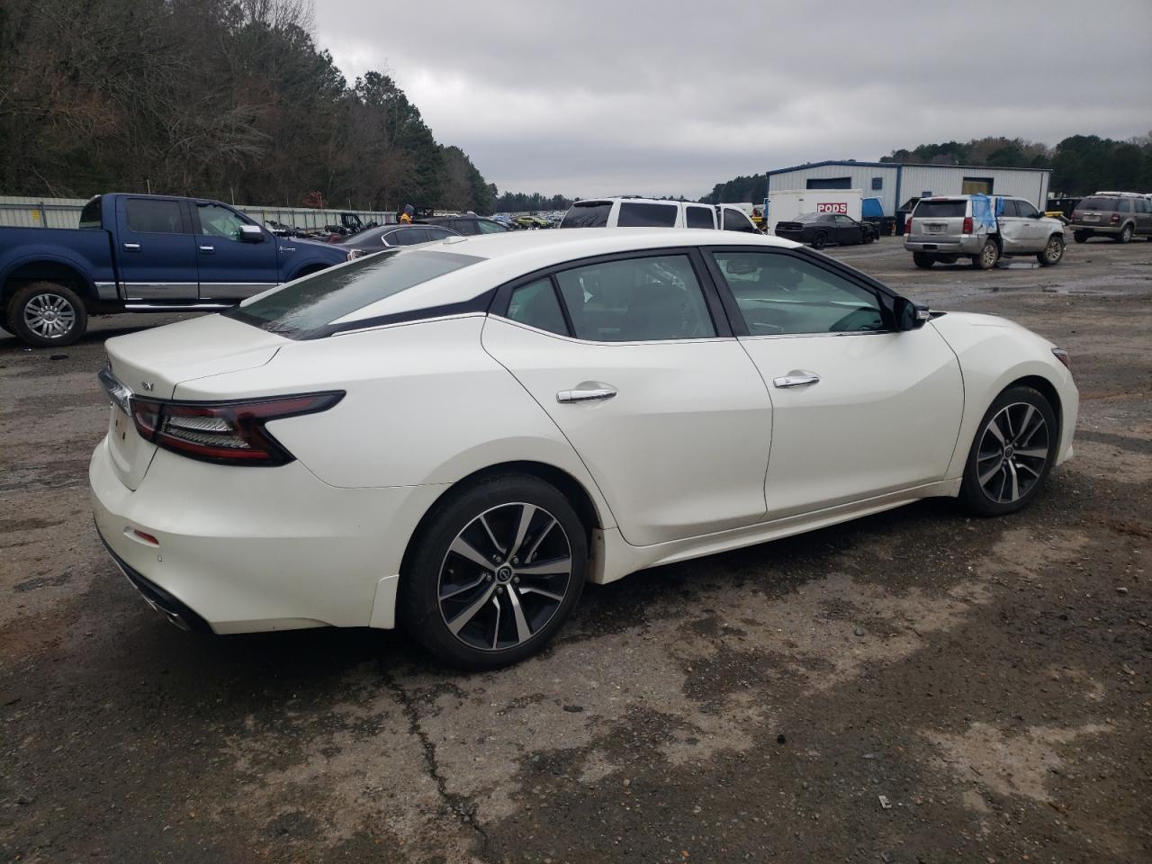 2023 NISSAN MAXIMA SV VIN:1N4AA6CV3PC503094