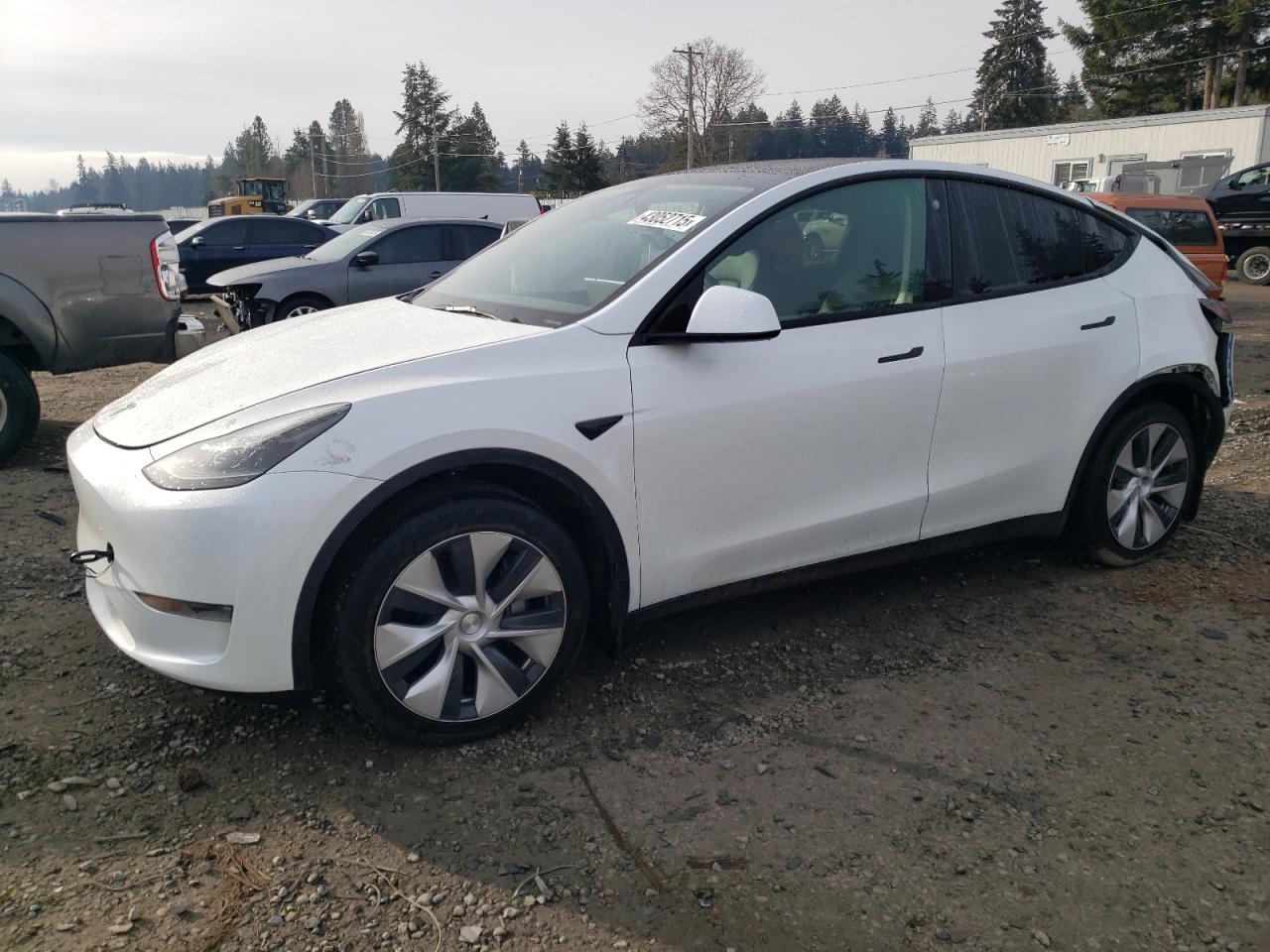 2023 TESLA MODEL Y  VIN:7SAYGDEE9PF623156