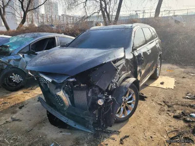 2019 Kia Sorento 641KMKNAPG81ABKA5 VIN:641KMKNAPG81ABKA5