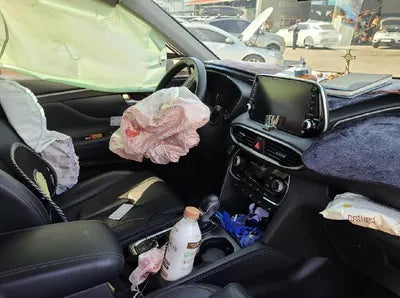 2019 Hyundai Santa FE KMHS581ADKU121220 VIN:KMHS581ADKU121220