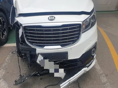 2015 Kia Carnival KNAMC81ABGS160732 VIN:KNAMC81ABGS160732