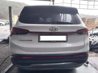 2020 Hyundai Santa FE KMHS381HGMU309411 VIN:KMHS381HGMU309411