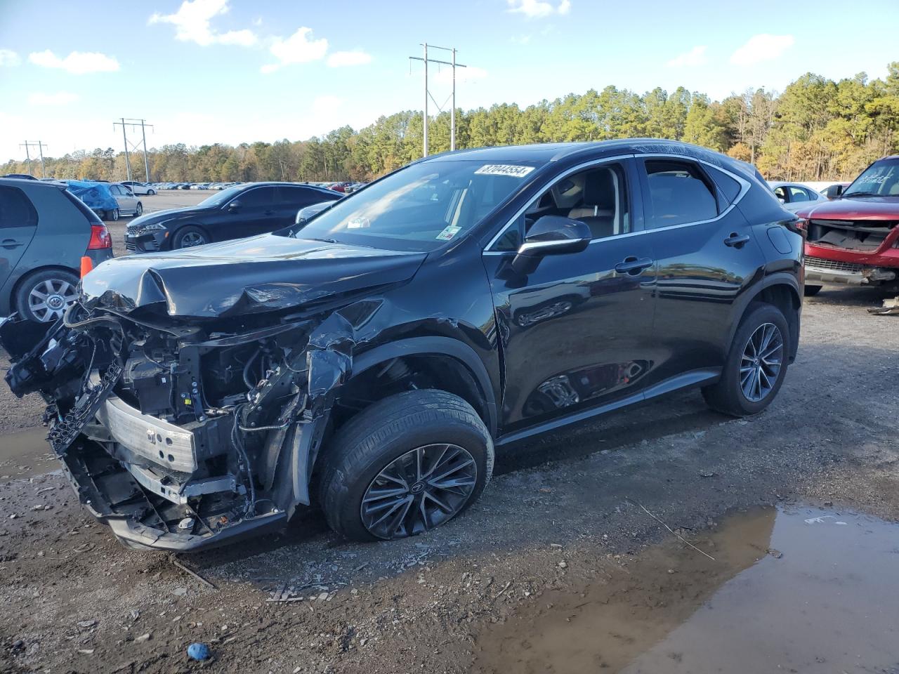 2024 LEXUS NX 250 PREMIUM VIN:2T2GDCAZ8RC014499