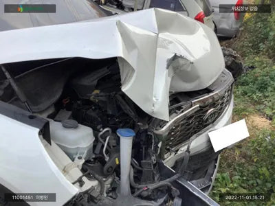 2019 Kia Sorento KNAPG81ABLA555610 VIN:KNAPG81ABLA555610
