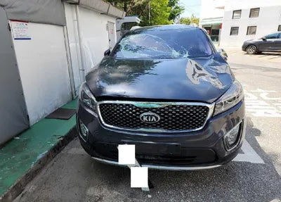 2017 Kia Sorento KNAPS81ABHA271420 VIN:KNAPS81ABHA271420