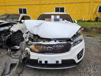 2016 Kia Sorento KNAPS81ABGA185857 VIN:KNAPS81ABGA185857