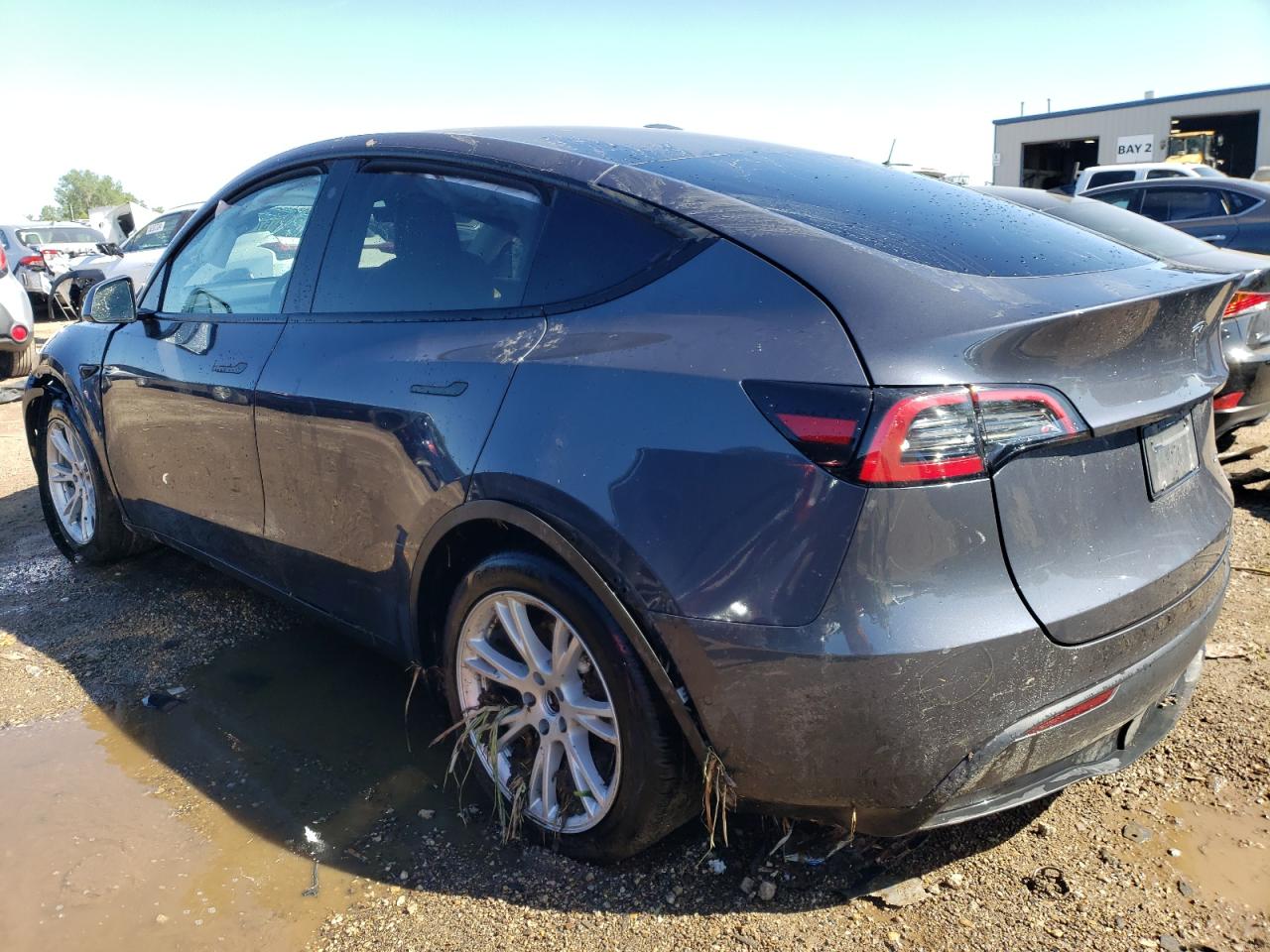 2022 TESLA MODEL Y  VIN:7SAYGDEE5NF490960