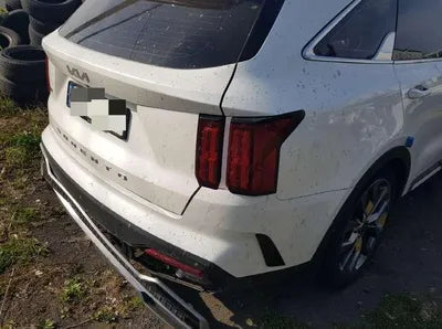2021 Kia Sorento KNARK81BHNA133310 VIN:KNARK81BHNA133310