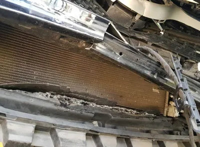 2019 Mercedes-Benz CLS 300 VIN: